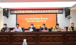 长江职业学院怎么样