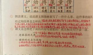 四年级上册语文课文第一课