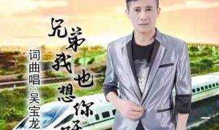 兄弟呀想你了是什么歌