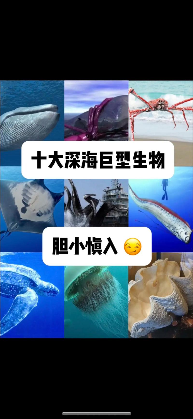 未解之谜（未解之谜排行榜前十名）