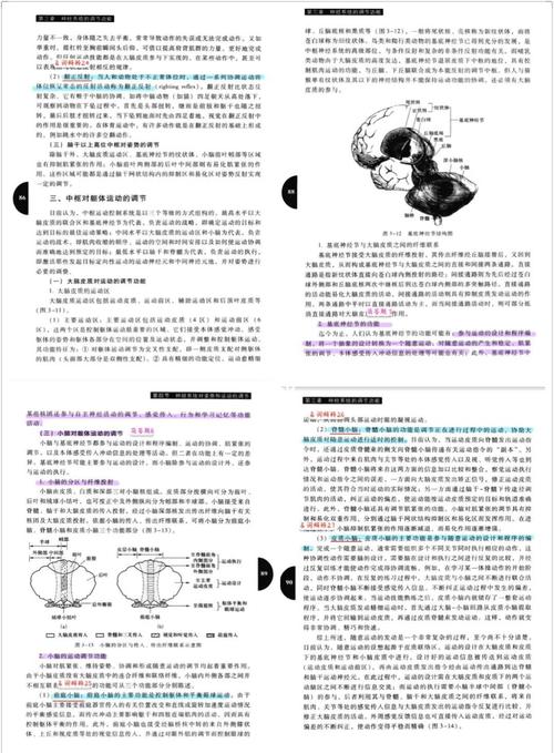 运动生理学（运动生理学题库及答案）