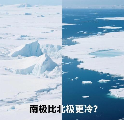 极地生态（极地生态系统和冻原生态系统的区别）