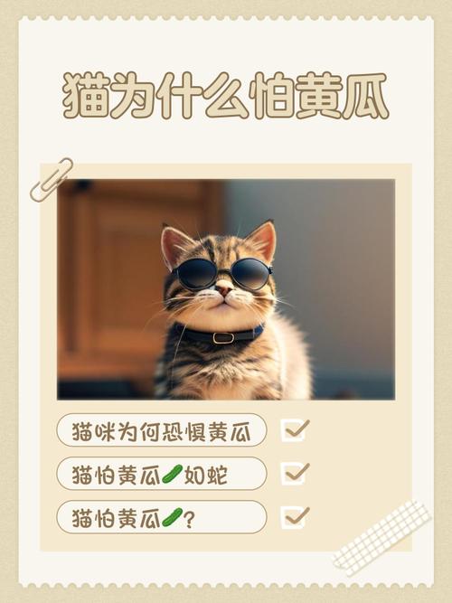 猫为什么怕黄瓜？（猫为什么怕黄瓜是真的吗）