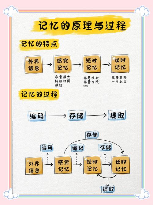 记忆机制(记忆机制综述)