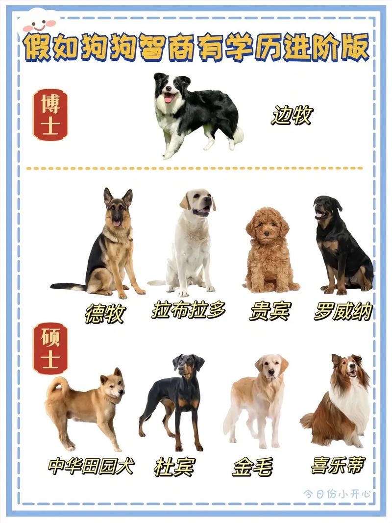 动物智商(动物智商排名一览表)