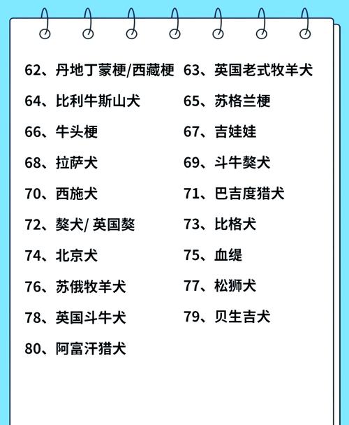 动物智商(动物智商排名一览表)