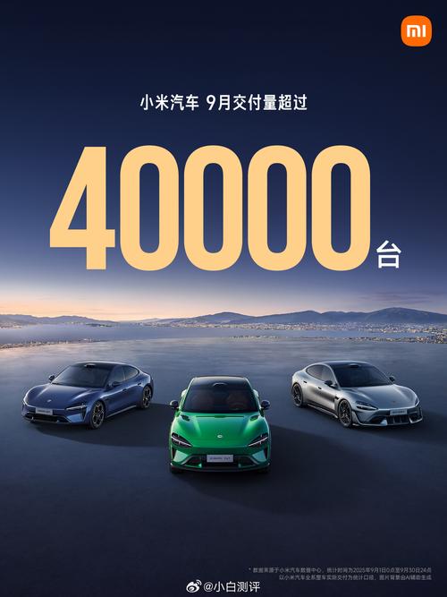 小米汽车续保大降价