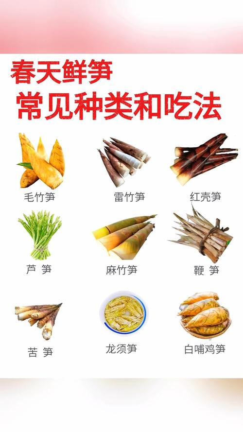 新鲜竹笋的做法（新鲜竹笋的做法大全）