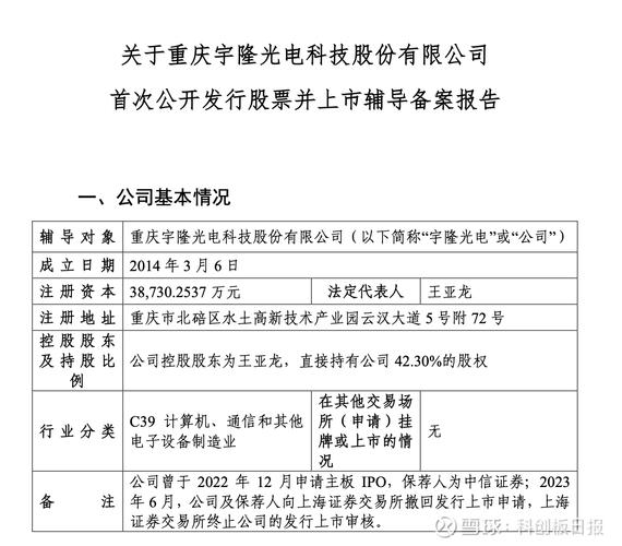 重庆宇隆科技二次冲刺IPO,一半收入来自京东方