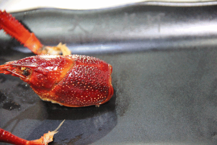 “小龙虾”撬开中国医疗大门,爆火架构首度落地!专家提示安全红线