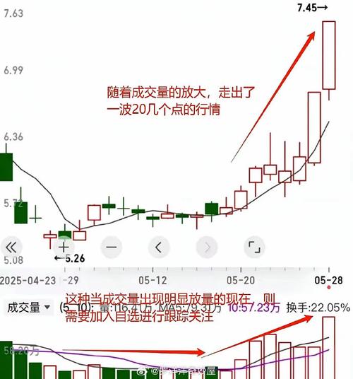 长线资金,买入这些标的