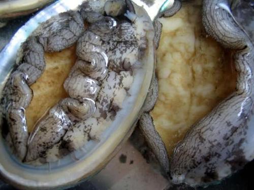 重庆市监局通报漂白鸡爪：一涉事企业被立案调查