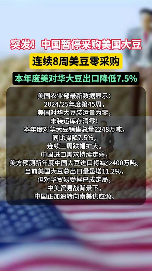 中美贸易谈判或推迟,大豆期货暴跌超3%