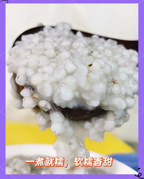 薏仁米的做法（薏仁米的做法大全）