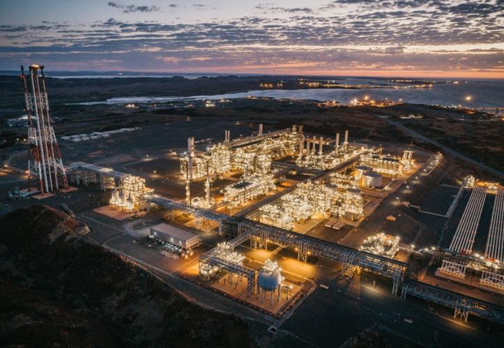 利兹·韦斯特科特被任命为伍德赛德能源首席执行官