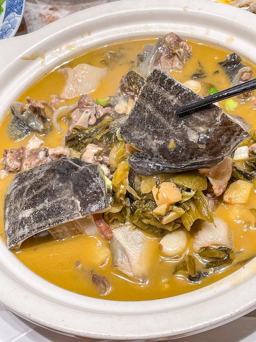 甲鱼怎么做法好吃（清汤甲鱼怎么做法好吃）