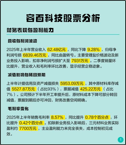 24亿元海外资产面临亏损、闲置，容百科技启动子公司股权重组