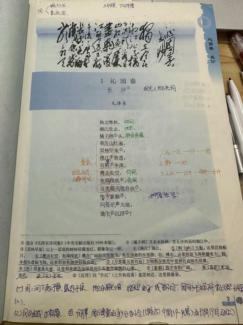 沁园春长沙阅读答案（沁园春长沙课外阅读答案）