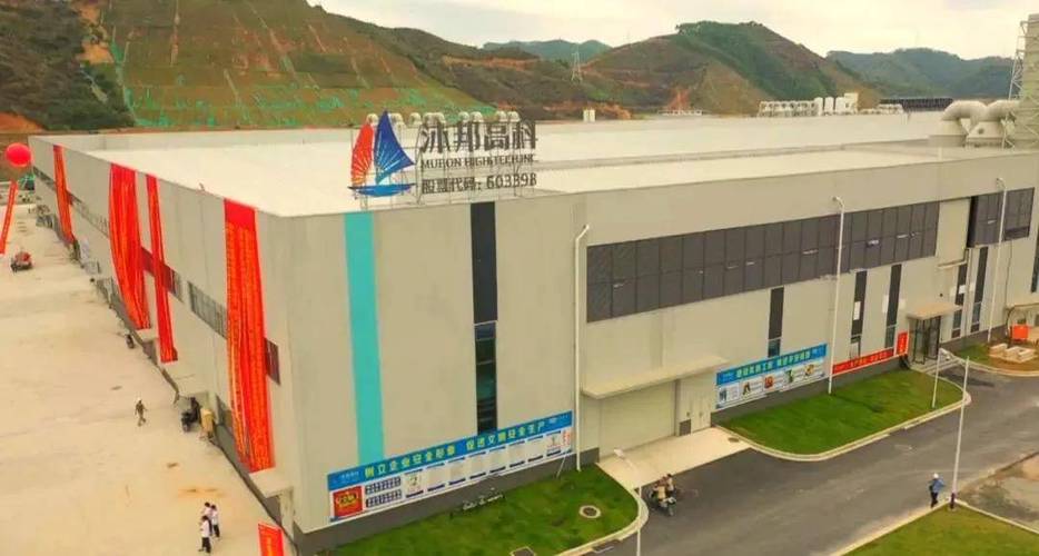 财务造假“罚单”落地，*ST沐邦董事长廖志远辞职，“95后	”关联方“走到台前”能否解公司困局？