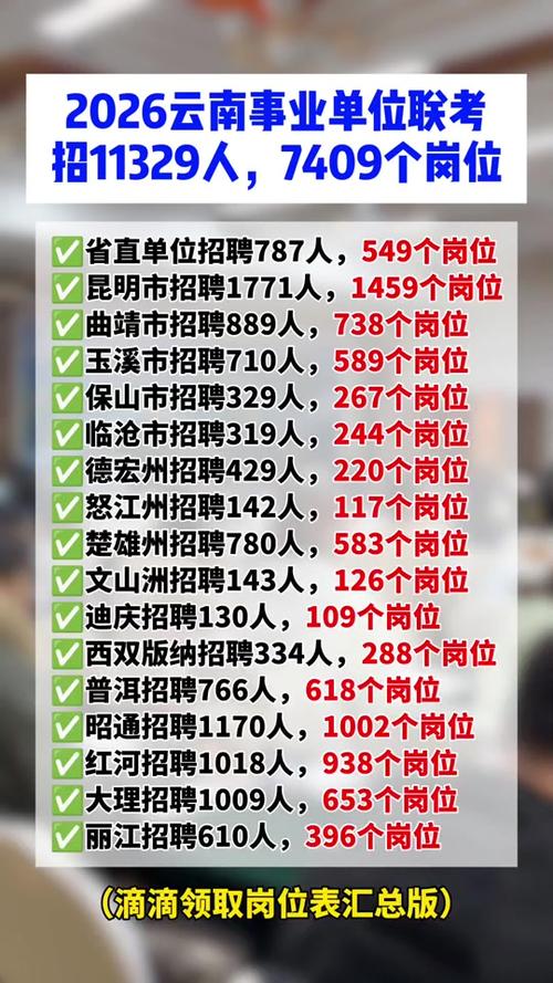 云南省公务员岗位招录表（云南省公务员岗位招录表官网）