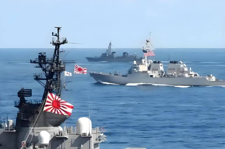 日本外相：若实现停火，日本可考虑派遣自卫队在霍尔木兹海峡扫雷