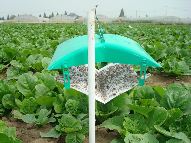 农业银行董事长谷澍：建议加强绿色投融资平台对接，促进绿色资本跨境流动