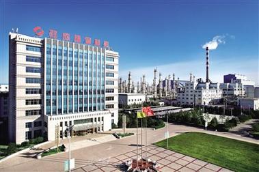 双欣材料：公司一期DMC项目优级品及电子级产品均实现一次性开车成功