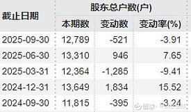 *ST熊猫8连板被停牌核查	，曾因信披违规被立案