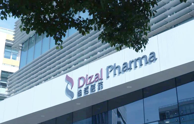 迪哲医药宣布新型肺癌靶向药获阳性顶线结果，CEO称是公司发展重大里程碑