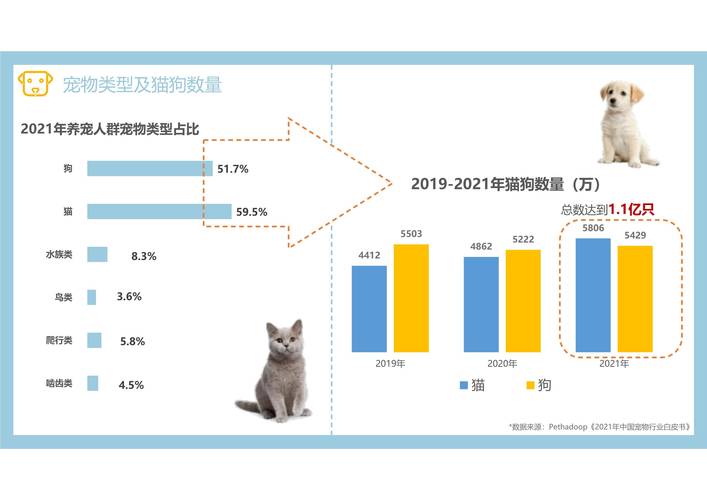 2025宠物保险保费规模继续狂飙，30亿元背后的“喜”与“忧	”