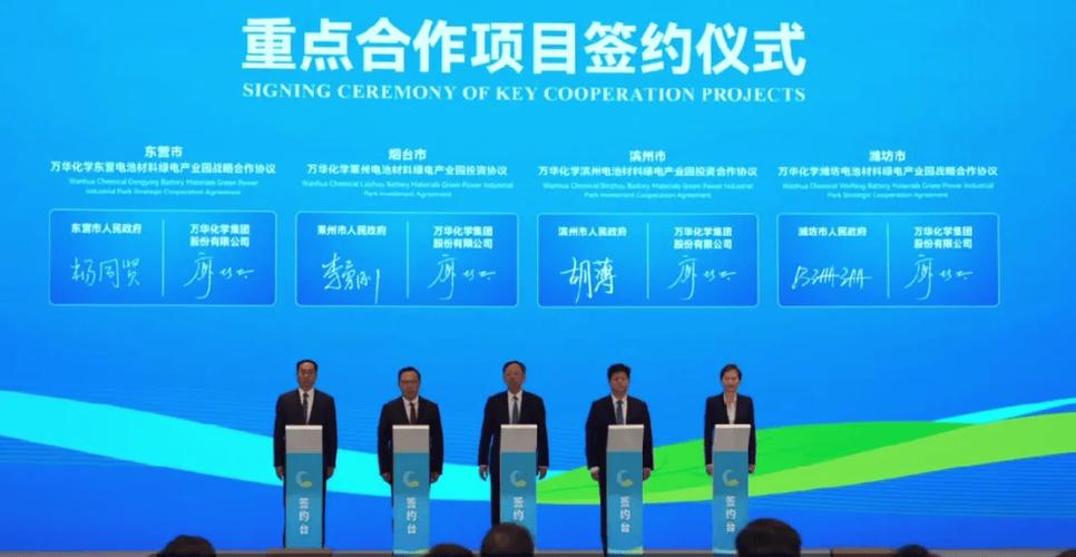 万华化学“助阵”，大中矿业锂盐“扩军	”迎最强外援