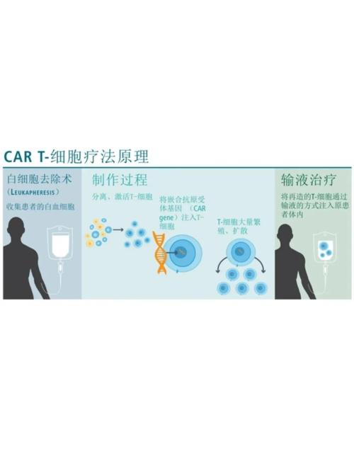复星医药去年净利增超21%，CAR-T疗法纳入90余项商保