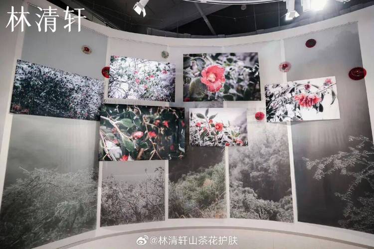 林清轩发布2025年度业绩 净利润3.60亿元同比增长92.90%