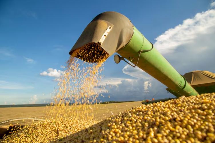 阿根廷拟放宽农村土地外资持股限制