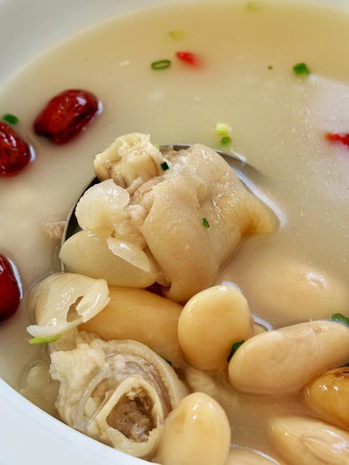 猪蹄汤的做法大全(猪蹄汤做法大全补气血)