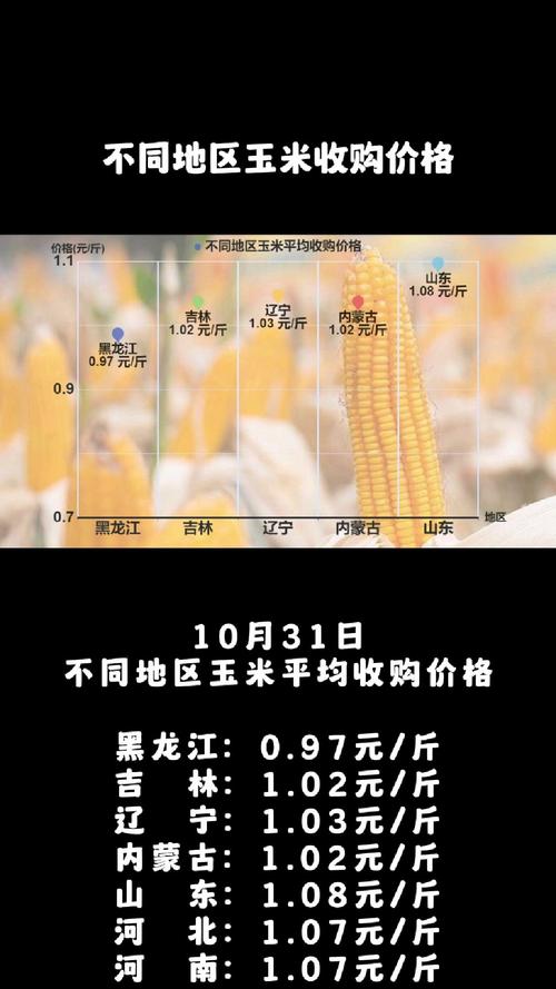 市场调研总结：东北玉米种植地租成本上涨	，下一季玉米价格高开？