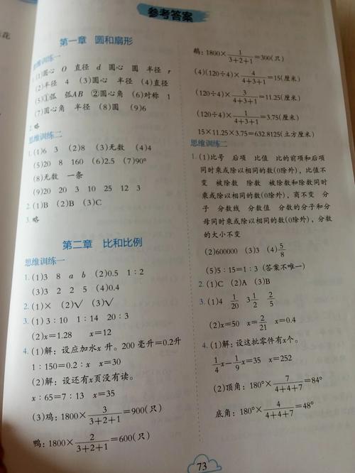 六年级数学寒假作业答案（六年级数学寒假作业答案图片）