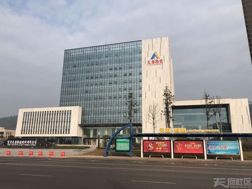 天原股份：董事魏红英辞职