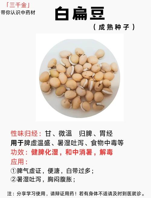 白扁豆的做法（白扁豆作用与功效）