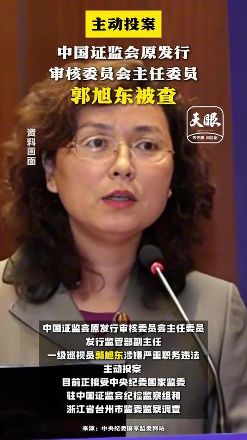 证监会原发审委主任委员郭旭东被起诉！为企业上市打招呼	，在股票发行审核中搞区别对待，收受股权